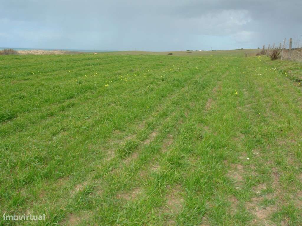 Terreno - Ilha do Pessegueiro - Grande imagem: 4/5