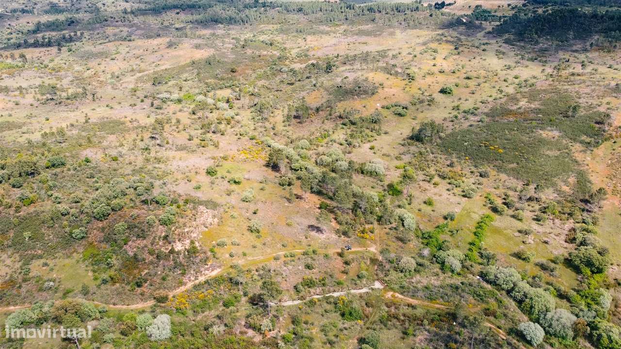 Terreno Rústico  Venda em Sarzedas,Castelo Branco - Grande imagem: 4/19