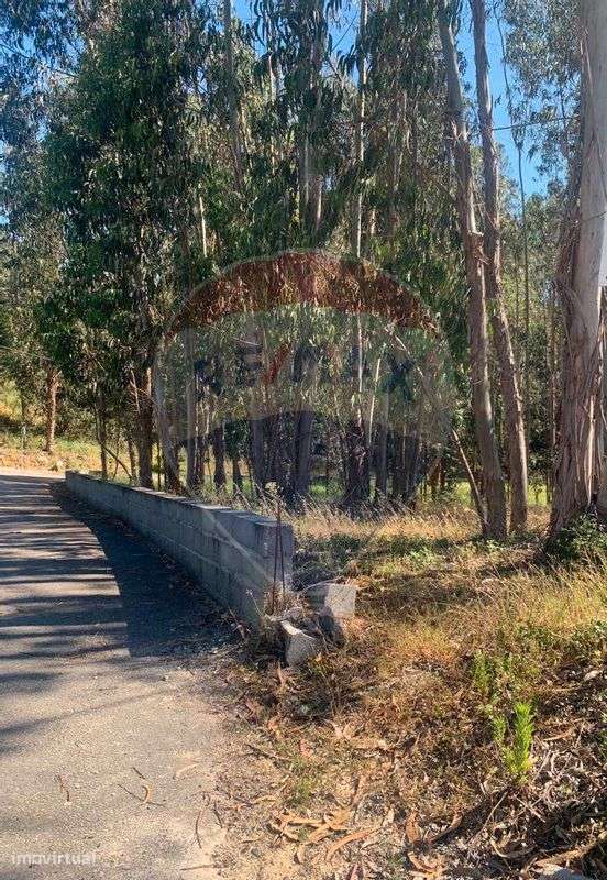 Terreno  para venda - Grande imagem: 3/5