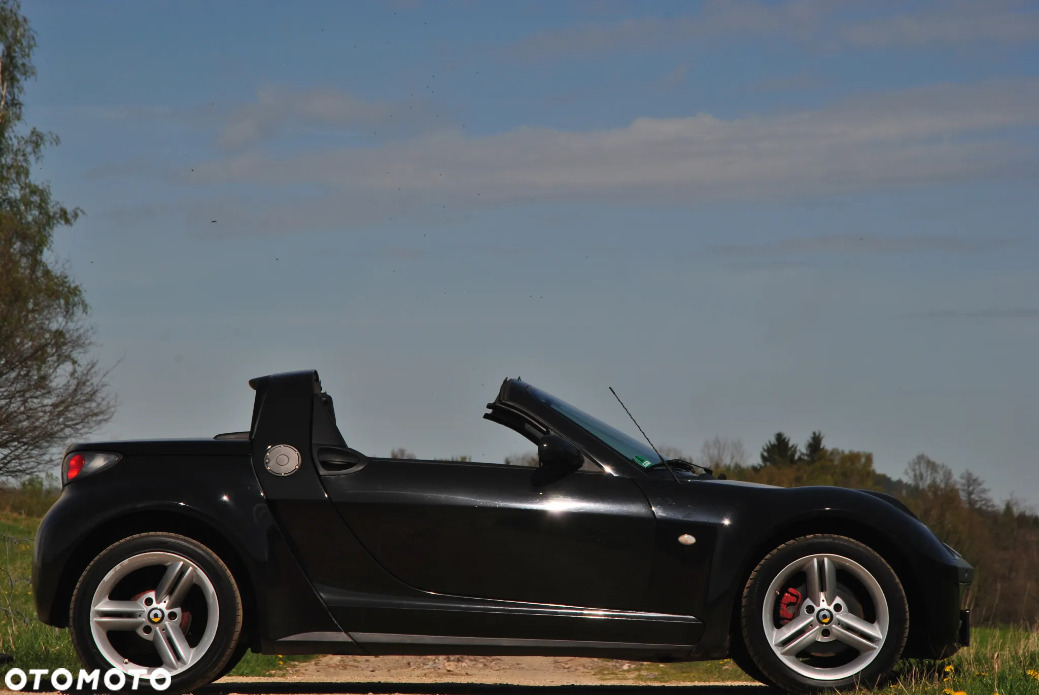 Smart Roadster coupe - 11