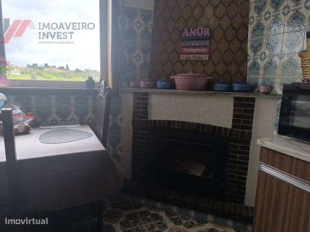 Quinta com Moradia Isolada e 4.450m² de Terreno Oiã Oliveira d Bairro-44