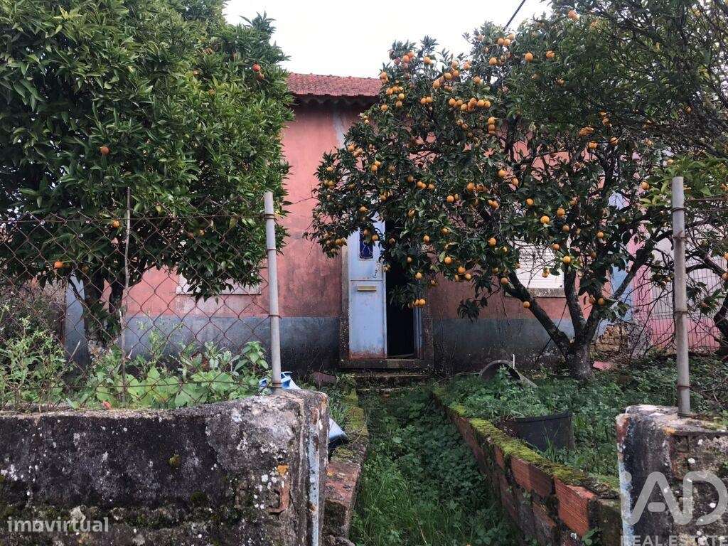 Casa de Campo T2 em Chãos - Grande imagem: 4/40