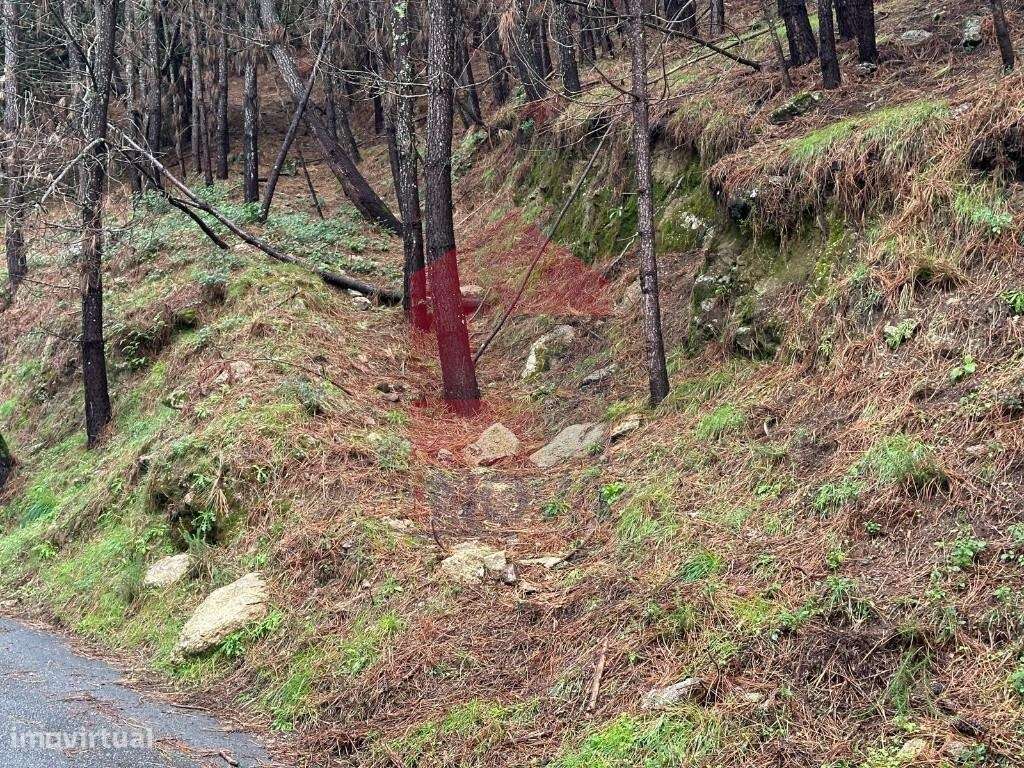 Terreno Agrícola em Caires, Amares - Grande imagem: 4/10