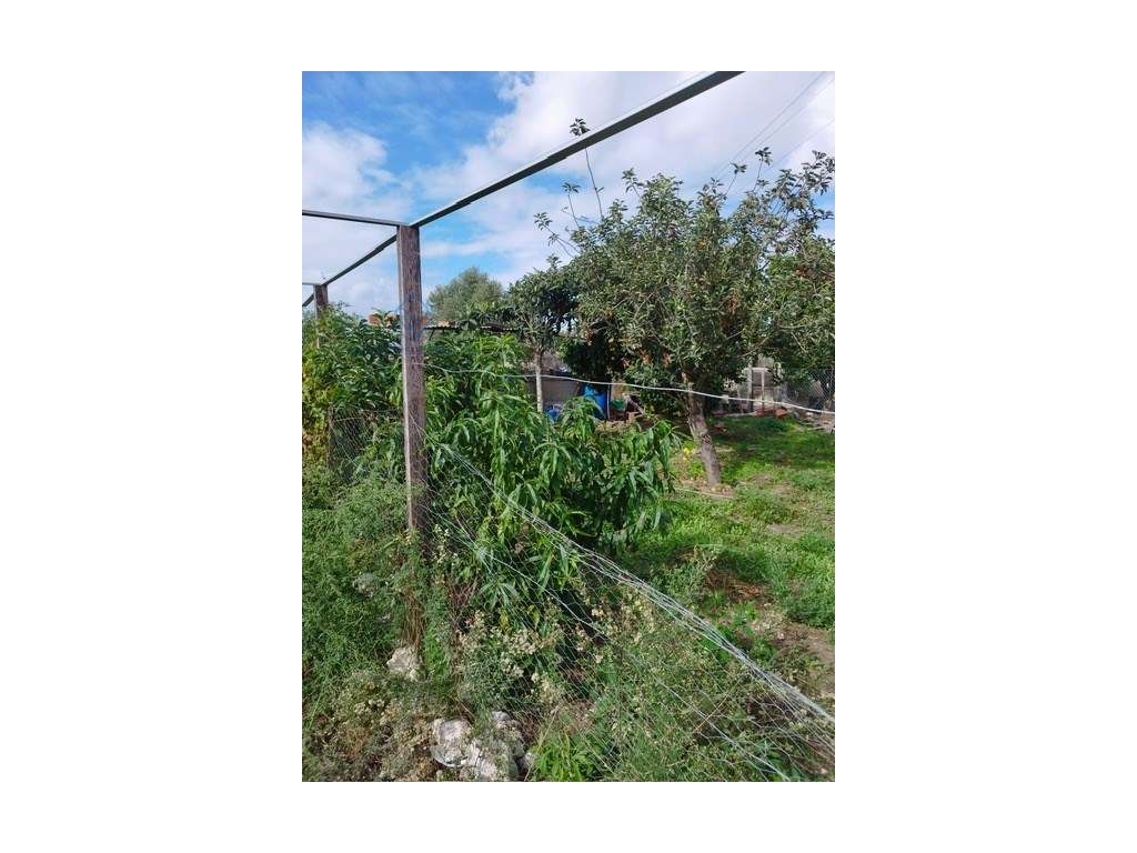 Terreno 595 m2 Penteado Moita-7