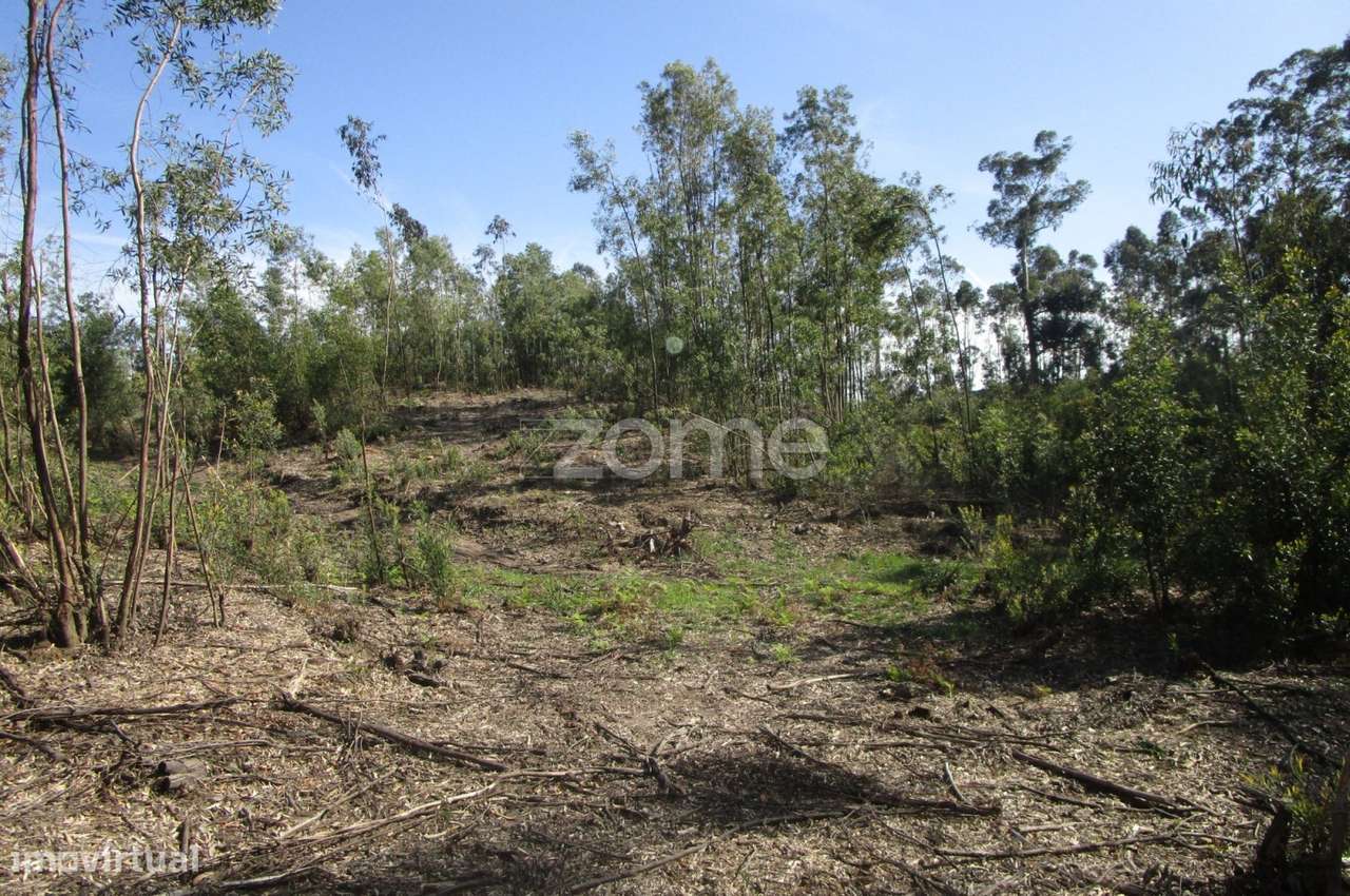 Terreno misto com 13.800 M2 em Guilhabreu V do Conde -Porto - Grande imagem: 5/15