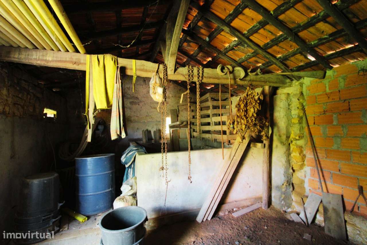 Moradia T3 para reabilitar em Oliveira do Bairro-17