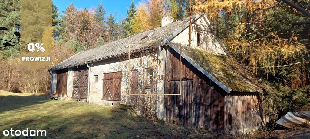 Siedlisko w sercu natury otoczone urokliwym lasem-5