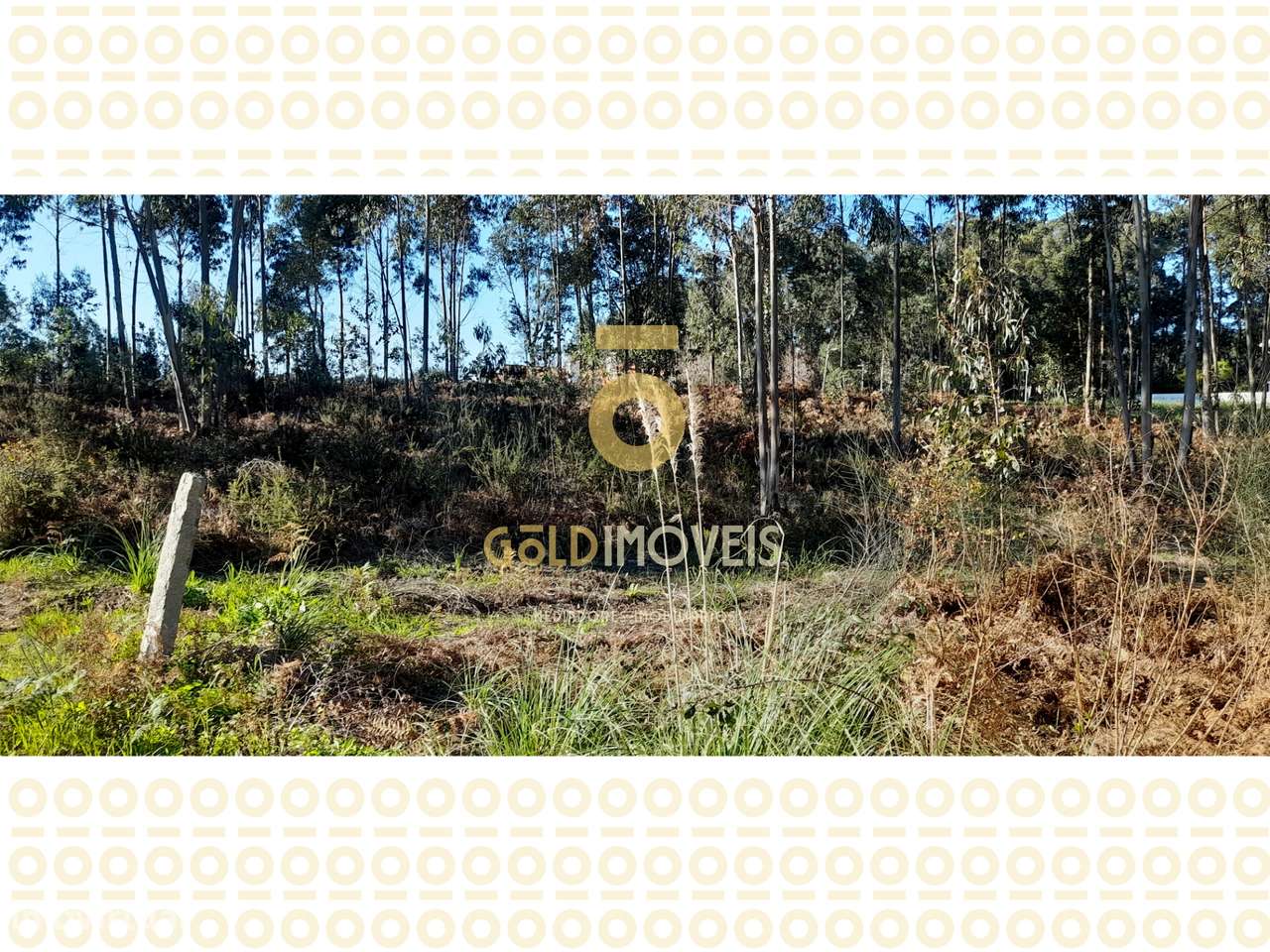Lote de Terreno para construção em Anta - Espinho - Grande imagem: 5/5