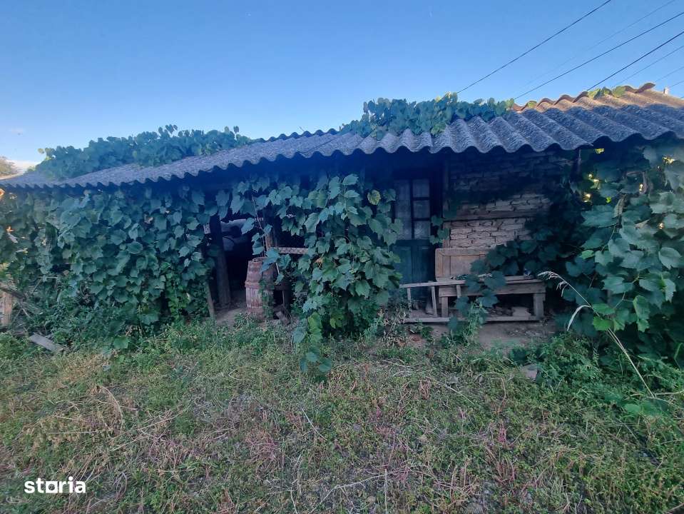 Teren intravilan , 1100mp , front 12,60 m , intrare Filiasi - Imagine principală: 2/7