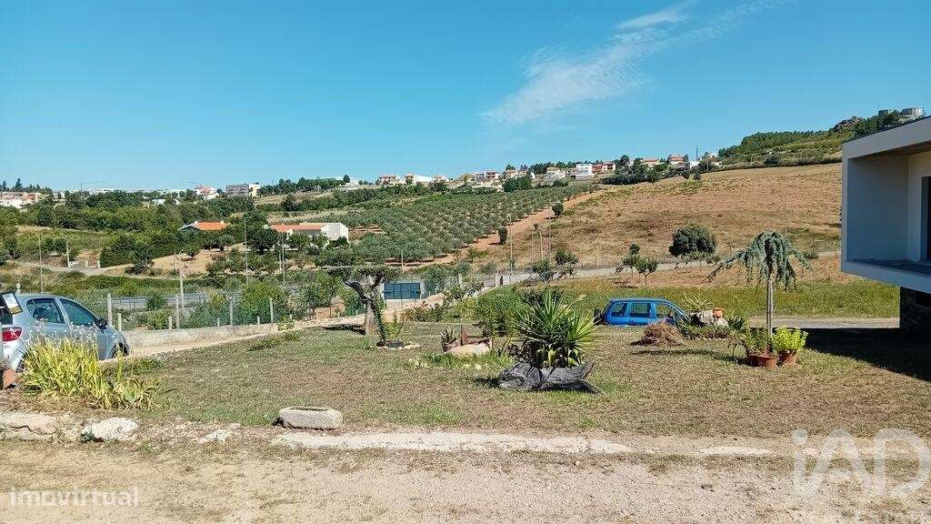 Casa / Villa T3 em Mogadouro, Valverde, Vale de Porco e Vilar de Rei d - Grande imagem: 4/29