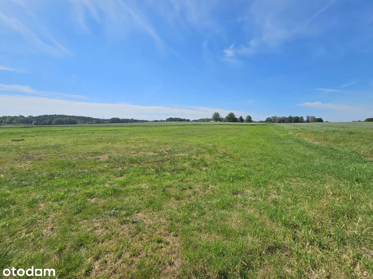 Działka siedliskowa, wydane Warunki Zabudowy-3