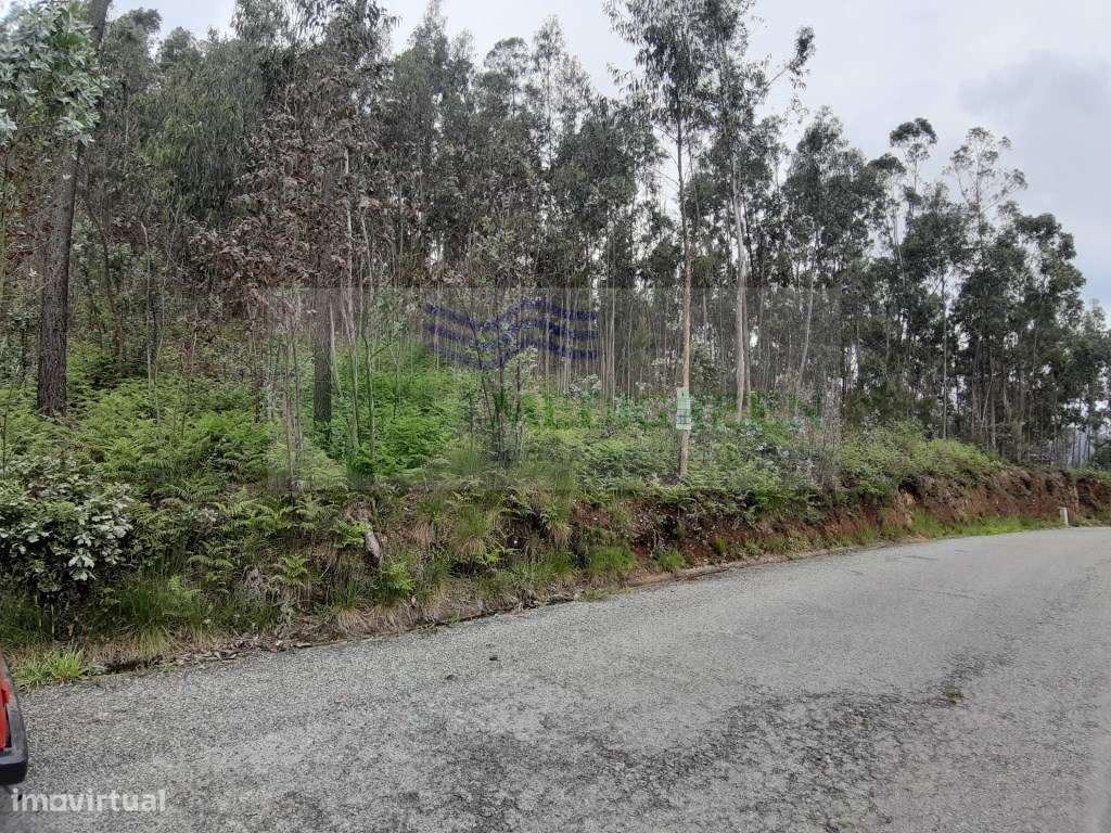 TERRENO COM VIABILIDADE DE CONSTRUÇÃO PROXIMO A VILA - Grande imagem: 5/5