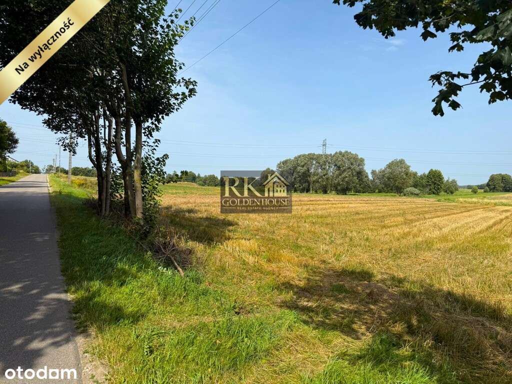 Duża działka rolna na sprzedaż z możliwością budowy domu - Pełny obrazek: 5/12