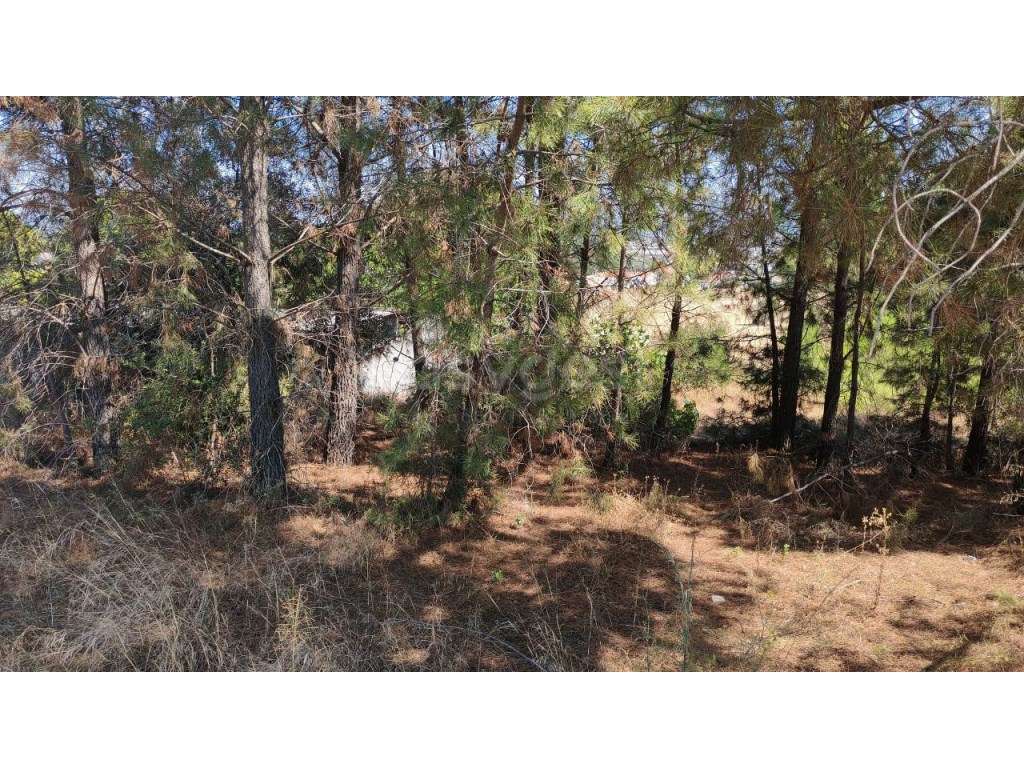 Lote para construção de moradia isolada perto da cidade de Torres N... - Grande imagem: 5/12