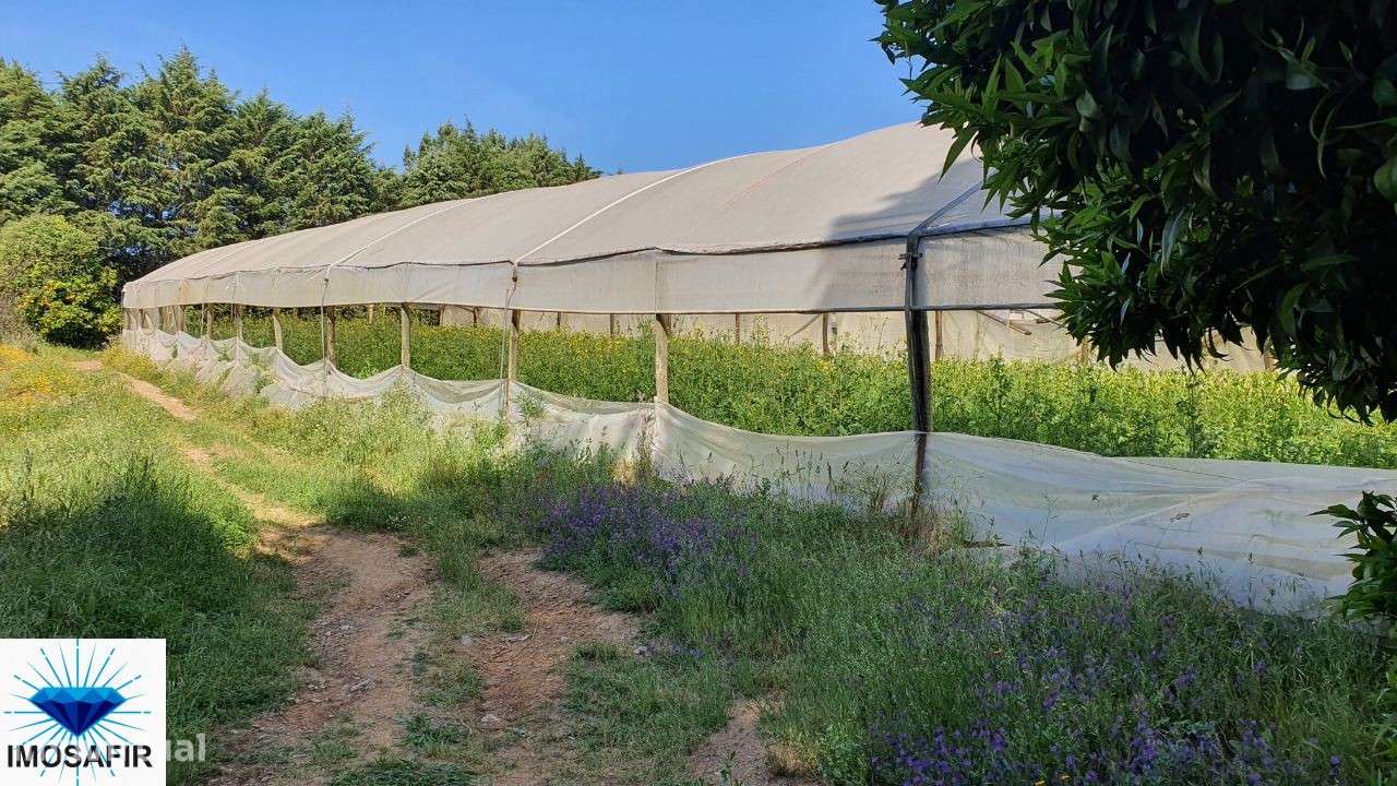 Terreno Agrícola com pequena parte urbana - Grande imagem: 2/15