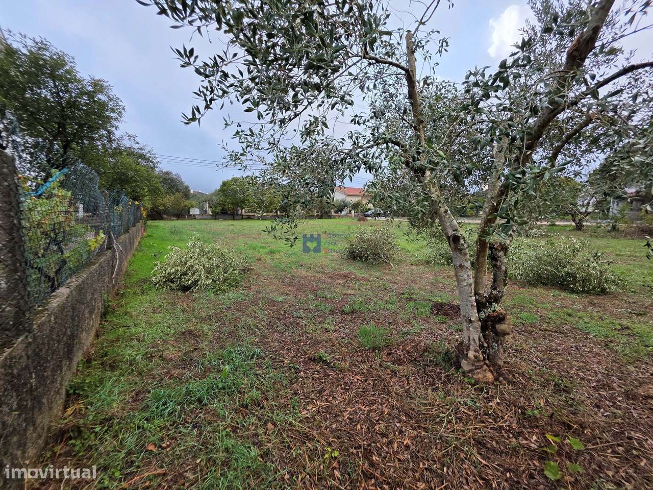Lotes de Terreno para Construção em Fátima-12