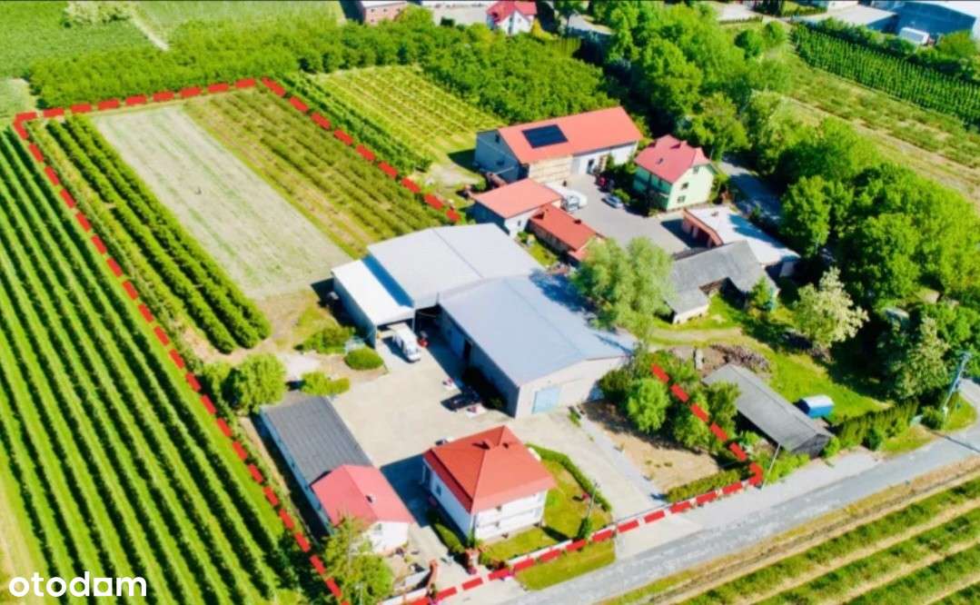 Gotowy biznes-sad-magazyny-chłodnie-biuro-dom / UKR-2