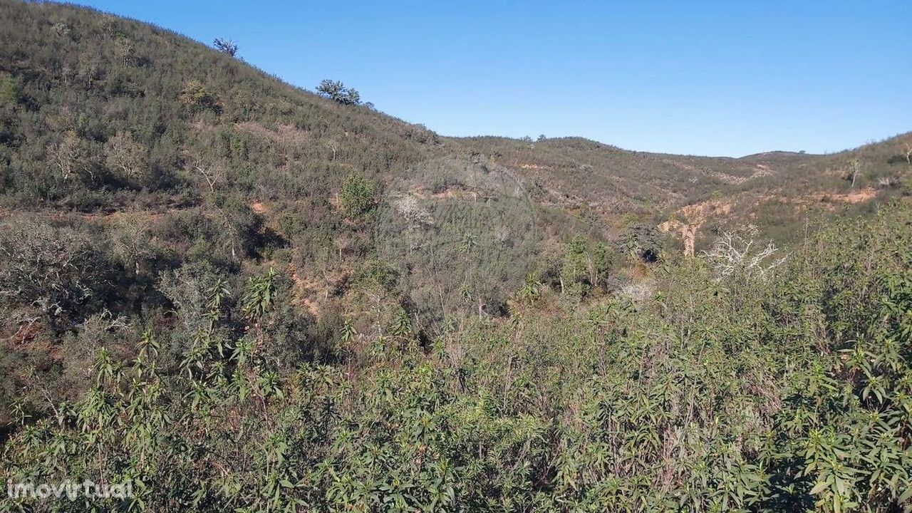 Terreno  para venda