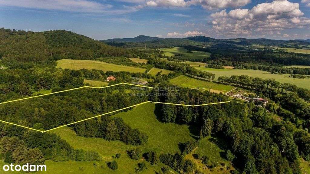 Działka W Górach 3,3ha Podzamek | Kłodzko | - Pełny obrazek: 5/11