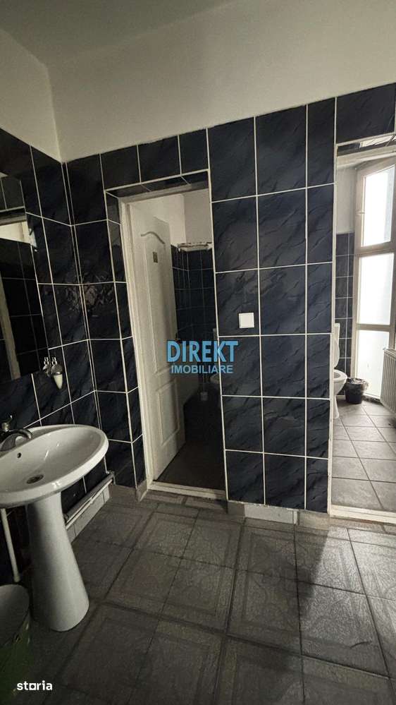 CASA VIIȘOARA DN 17-6