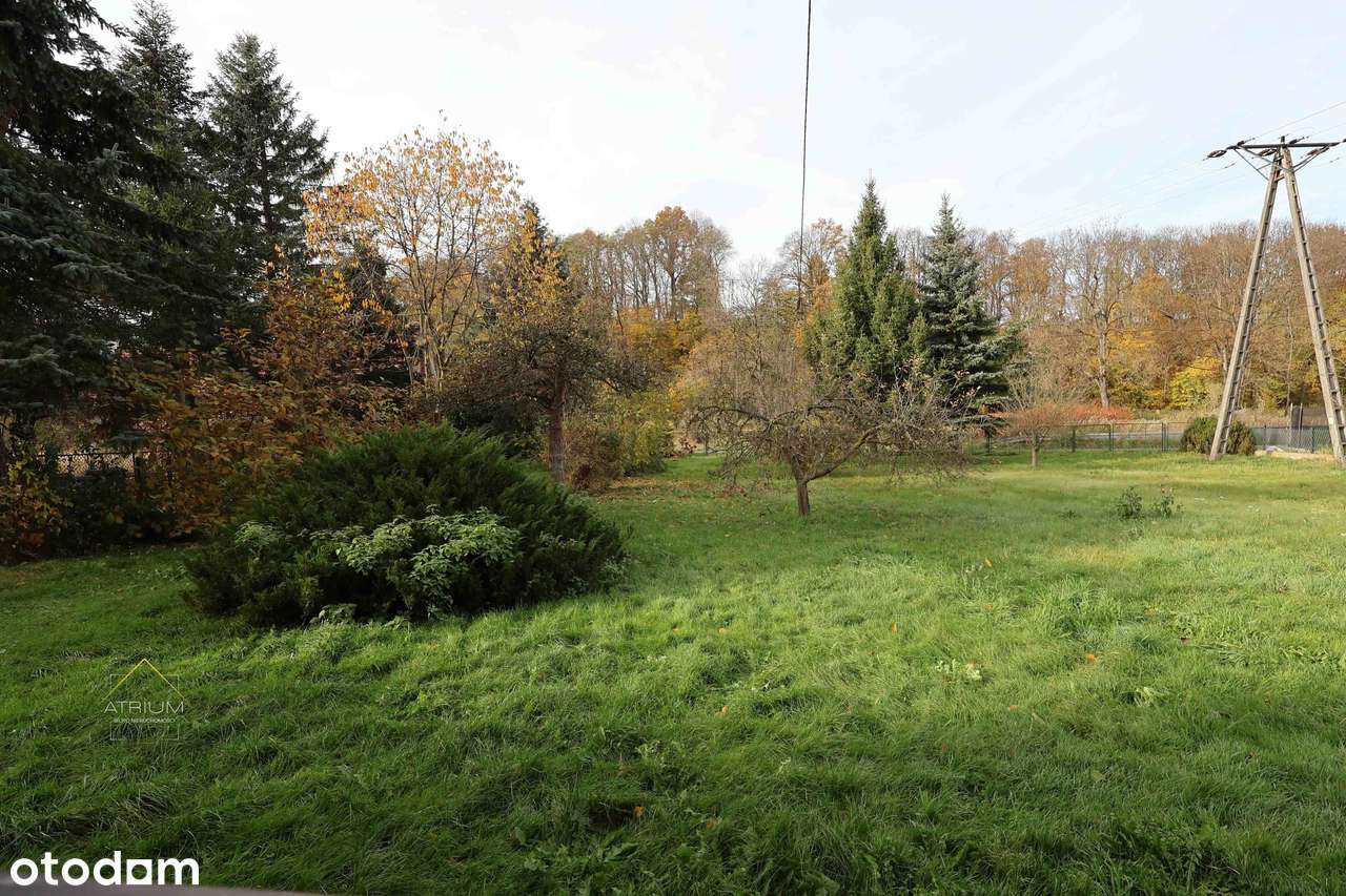 Mieszkanie z dużym ogrodem i ogromnym potencjałem – Nowy Kościół-9