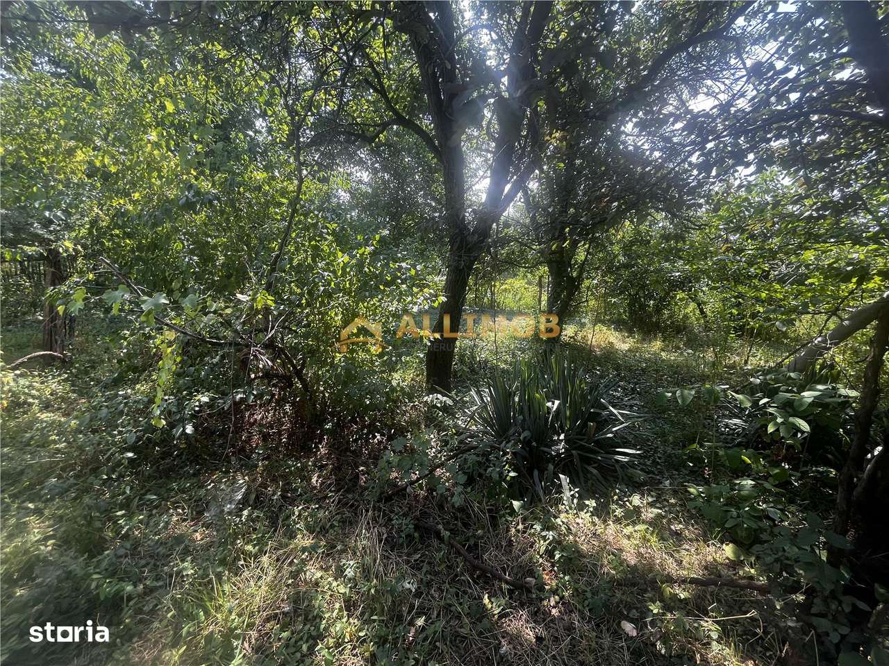 Casa cu 4 camere in zona Tabaci, Valenii de Munte -  teren 1000 mp.-16