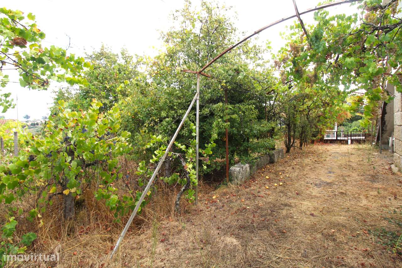 Quinta com 8.000 m² a apenas 10 km do centro de Viseu-32