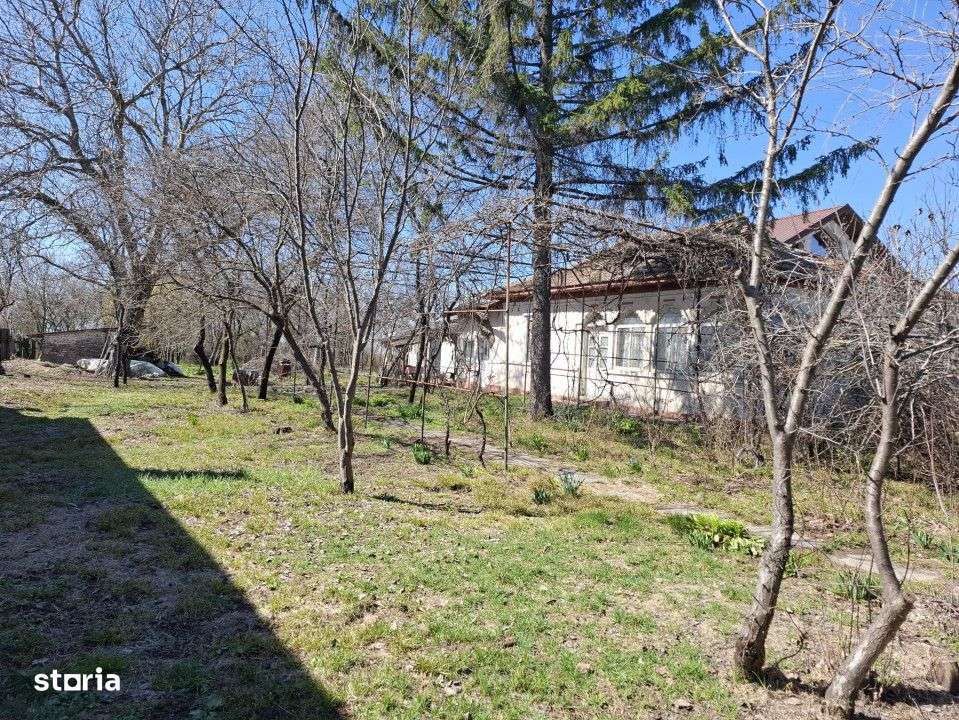 Vanzare teren + casa batraneasca in Racari, la DN71 - Imagine principală: 1/16