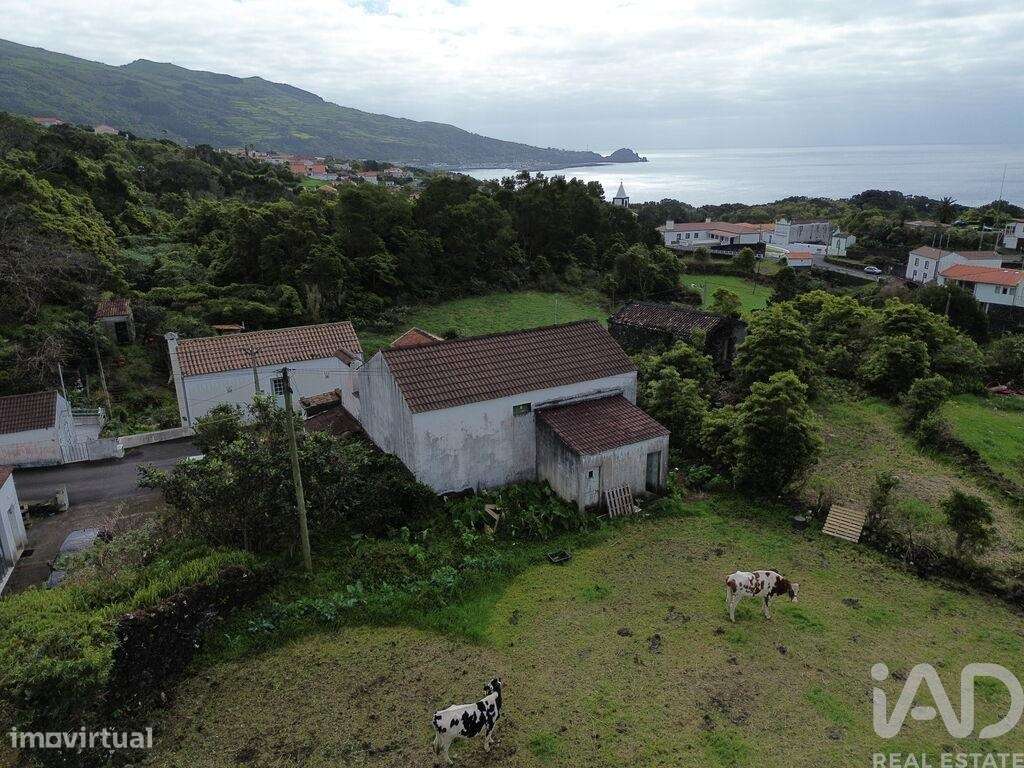 Casa de Campo em Lajes do Pico de 58 m2 - Grande imagem: 3/11