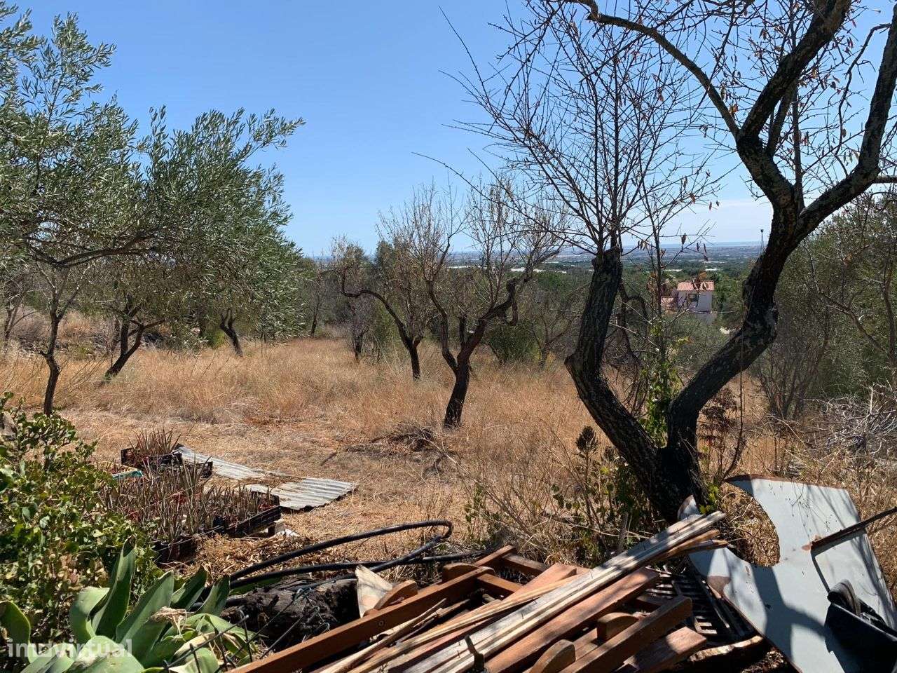 Terreno Urbano, com 3 artigos, Colmeal-38