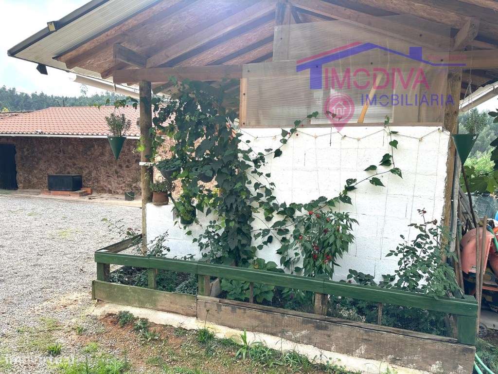 Moradia T2 a 5 minutos das Fragas São Simão-26