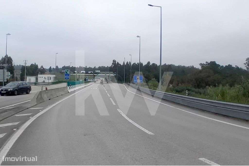 Excepcional Terreno Agrícola com Plantio Ativo de Kiwis, Sistema de Re - Grande imagem: 5/14