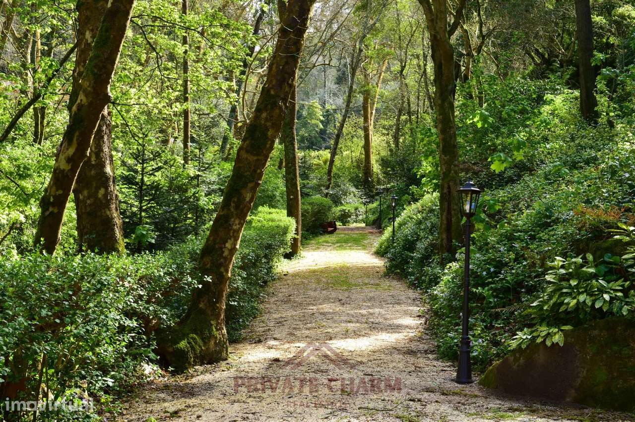 Quinta com área total de terreno 7.650m2-20