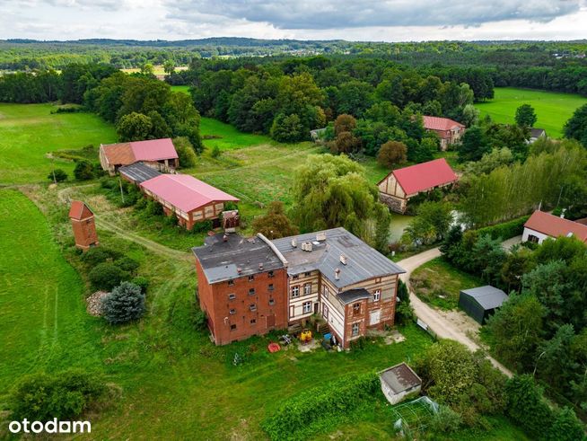 Działka 8ha z budynkami idealna pod inwestycję !