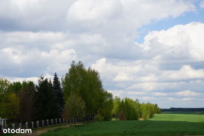 Nowy dom na wsi w Borach Tucholskich, jezioro, las