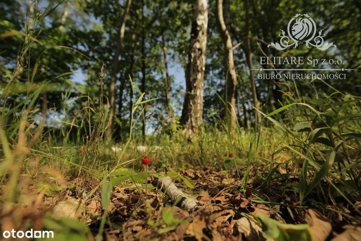 Piękny dom w zabudowie bliźniaczej z ogrzewaniem M-6