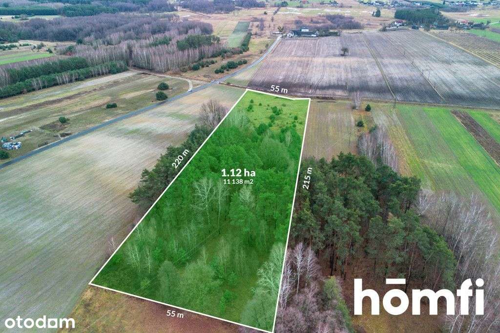 Działka z Warunkami Zabudowy na 8 domów - Pełny obrazek: 5/17