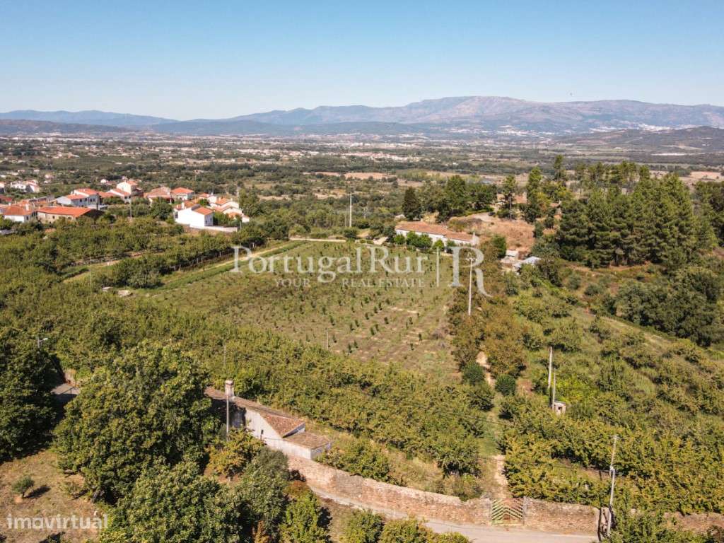 Quinta de 4 ha com 3 casas e cerejeiras no Fundão, ideal para turismo-56