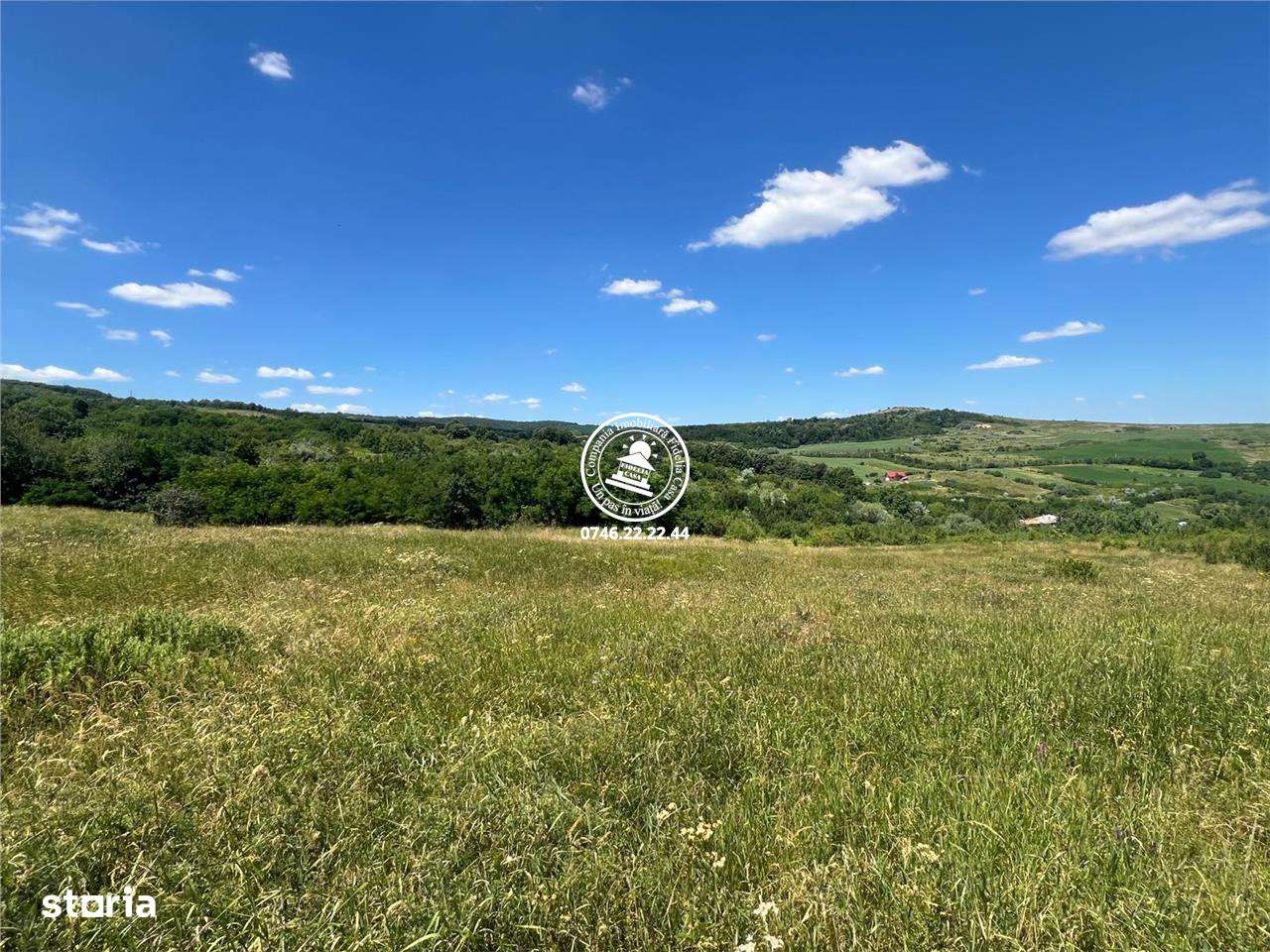 Teren de vanzare Tomesti Goruni  17.475 mp langa padure doar 7 euro mp - Imagine principală: 5/13