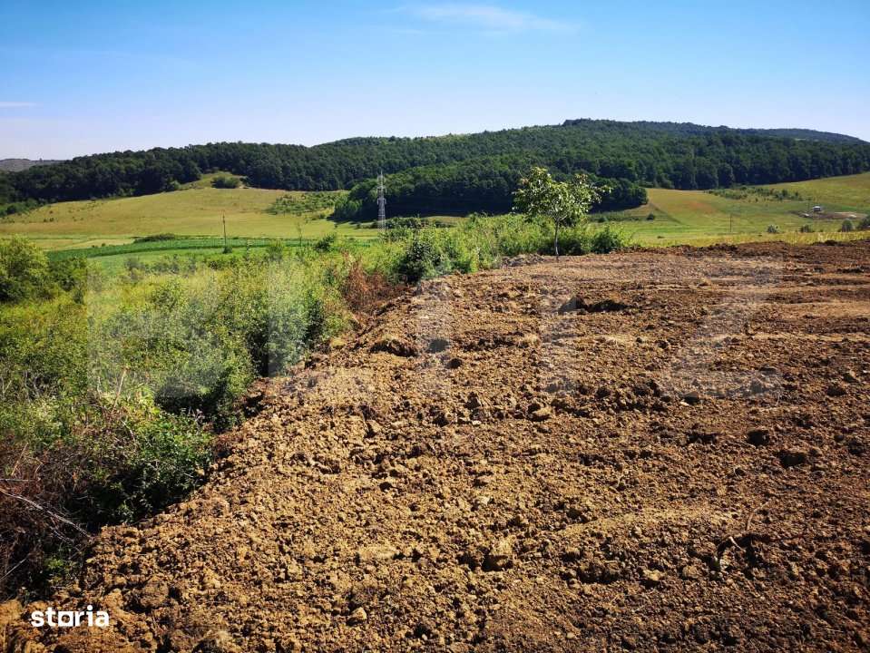 Teren intravilan, 2.200 mp cu PUD, autorizatie si utilitati Chinteni, - Imagine principală: 4/11