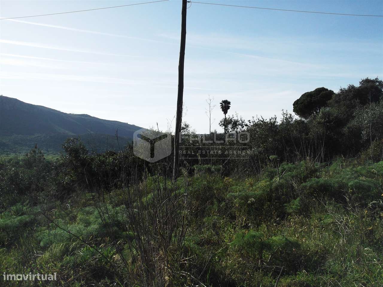 Terreno  Venda em Mira de Aire,Porto de Mós - Grande imagem: 4/12