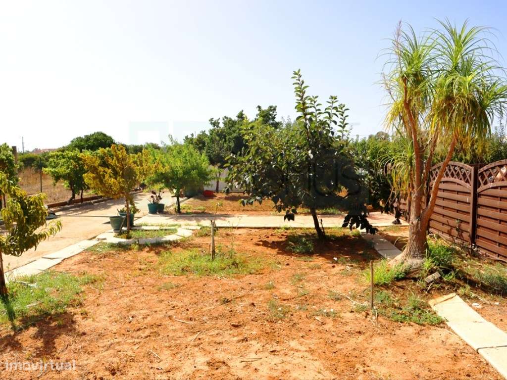 Quinta T4, em Luz de Tavira-46