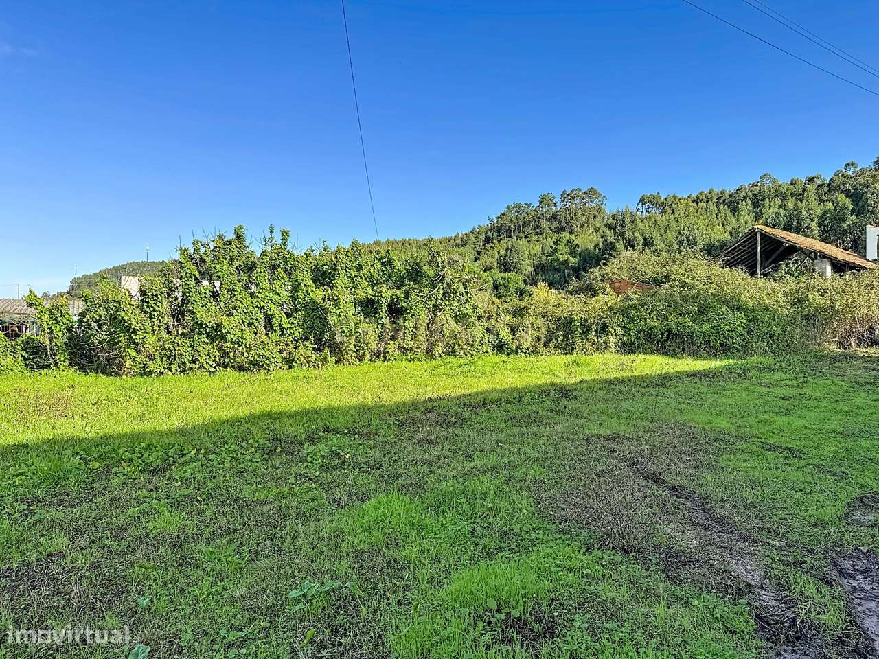 Terreno à venda em Coz, Alcobaça - Oportunidade Única! - Grande imagem: 5/7