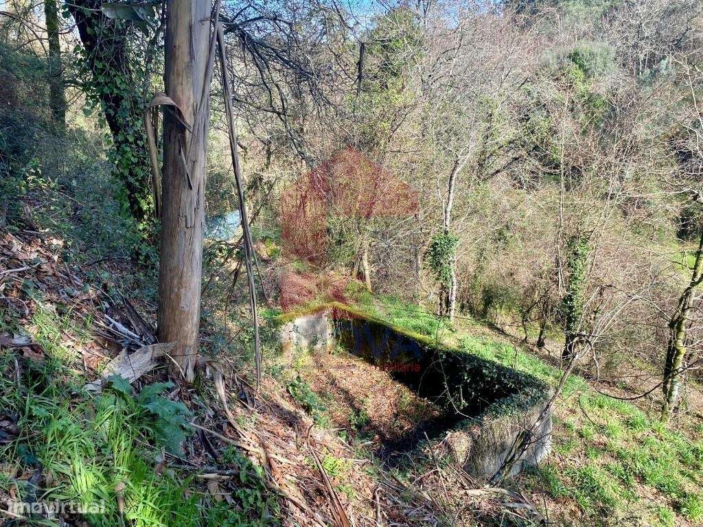 Terreno Agrícola / Florestal, Pico - Grande imagem: 3/29