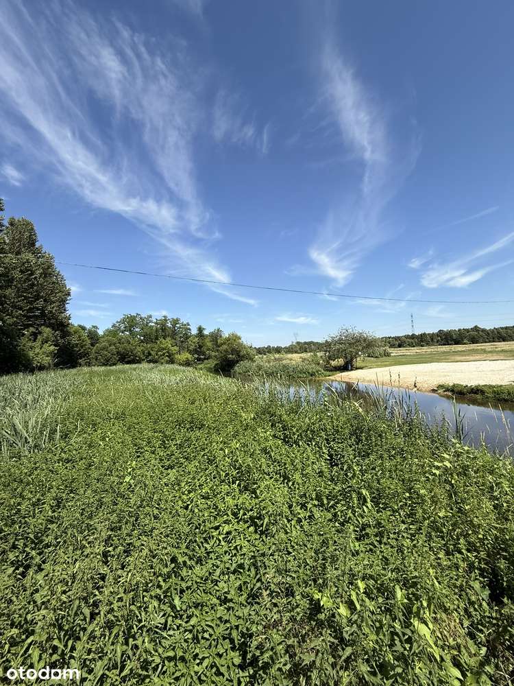 Przepiękna działka leśno - budowlana, w dorzeczu Warty, Kłobukowice ! - Pełny obrazek: 4/10