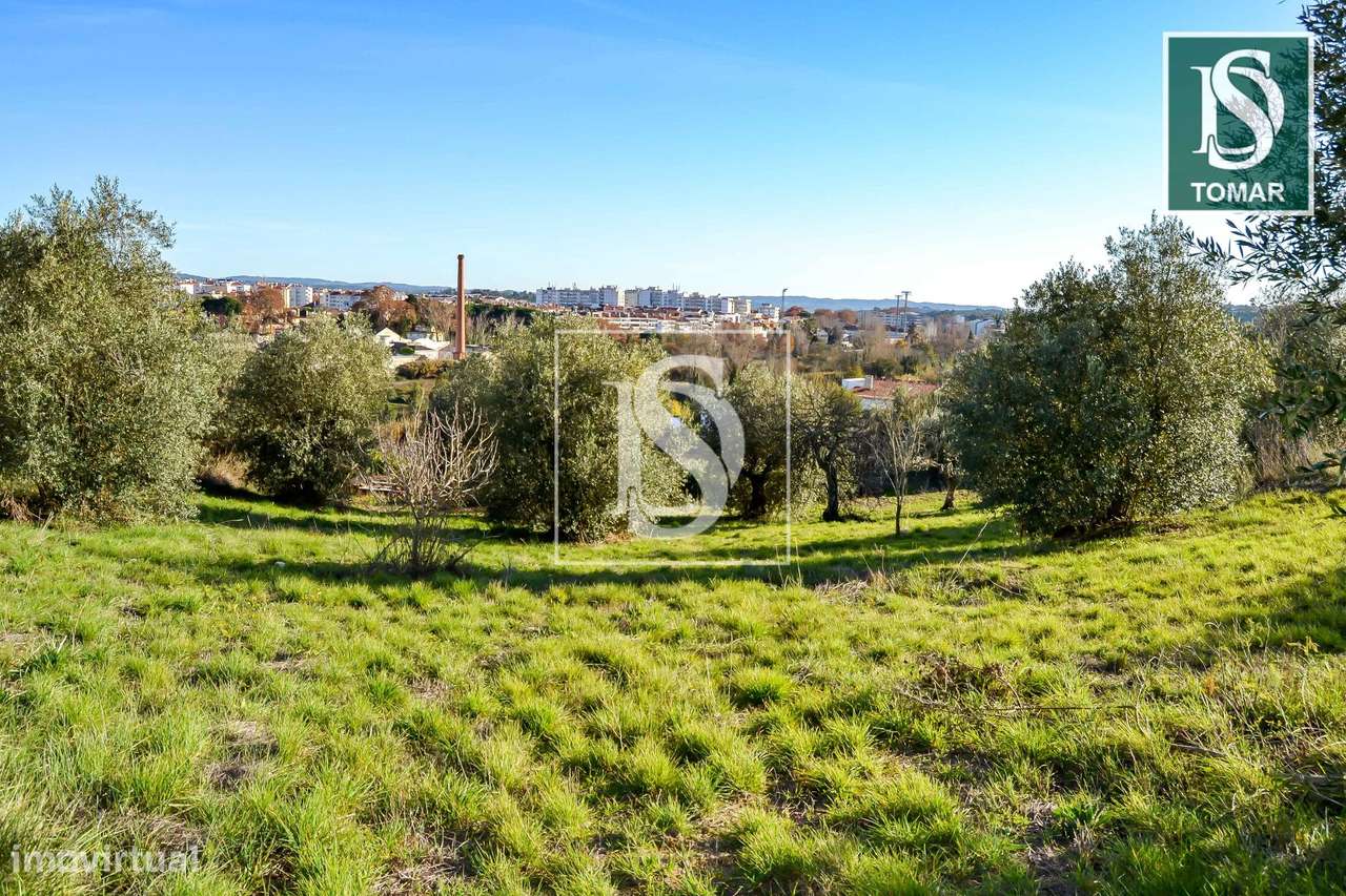 Terreno  Venda em Tomar (São João Baptista) e Santa Maria dos Olivais,-8