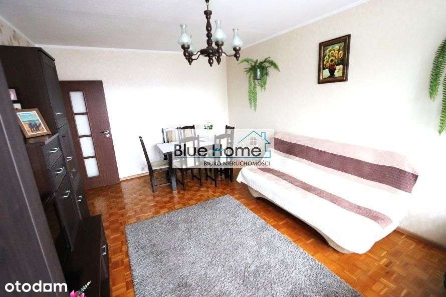 4 pokojowe z dużym potencjałem przy Plazie - Pełny obrazek: 4/19