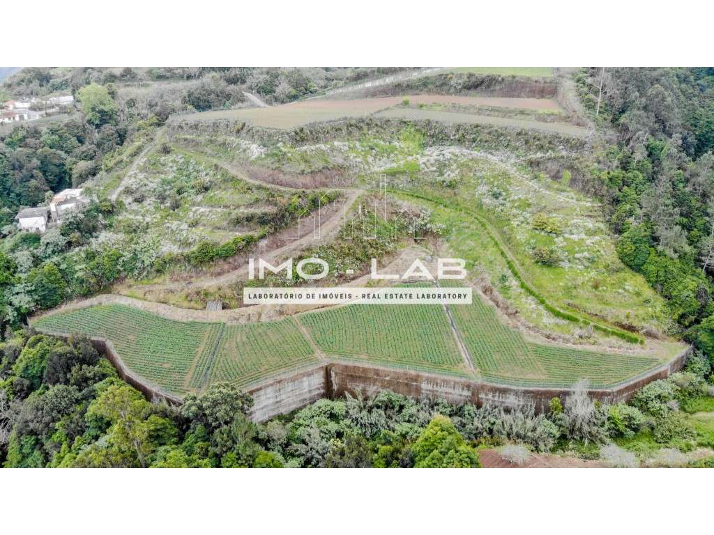 Armazém + 25.566m2 de Terreno Cultivado - São Jorge - Santana-9