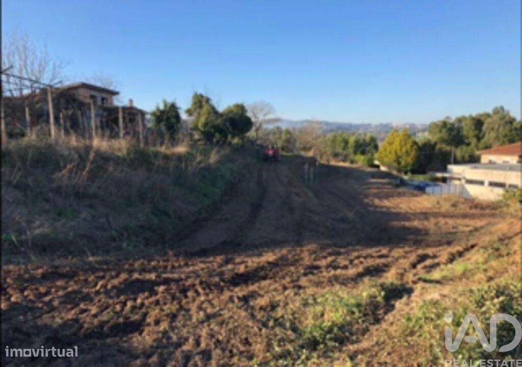 Terreno em Oliveira De Azeméis, Santiago De Riba-Ul, Ul, Macinhata Da - Grande imagem: 5/6