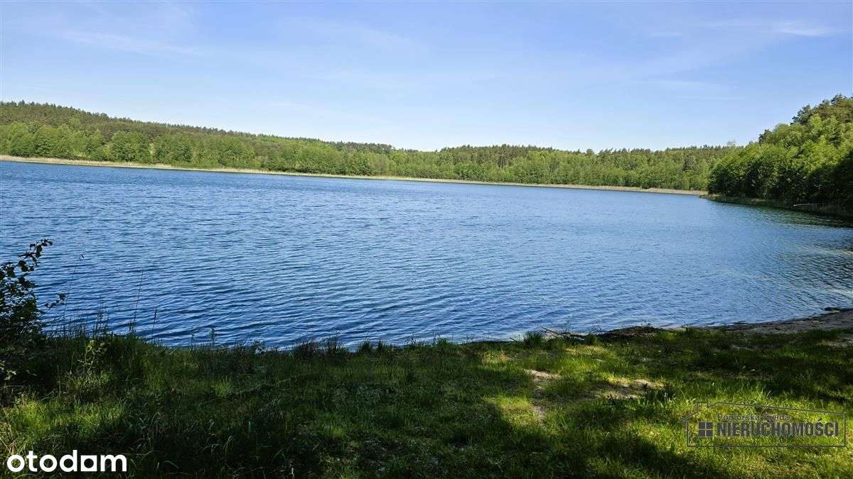 Okole - Grunt siedliskowy w otoczeniu lasu ok. 100-13